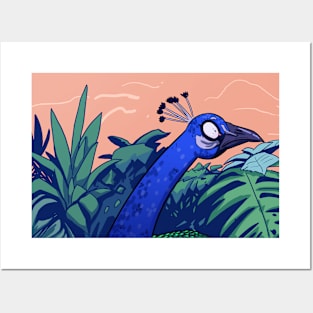 peacock safari Posters and Art